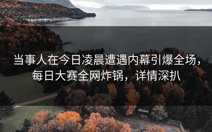 当事人在今日凌晨遭遇内幕引爆全场，每日大赛全网炸锅，详情深扒
