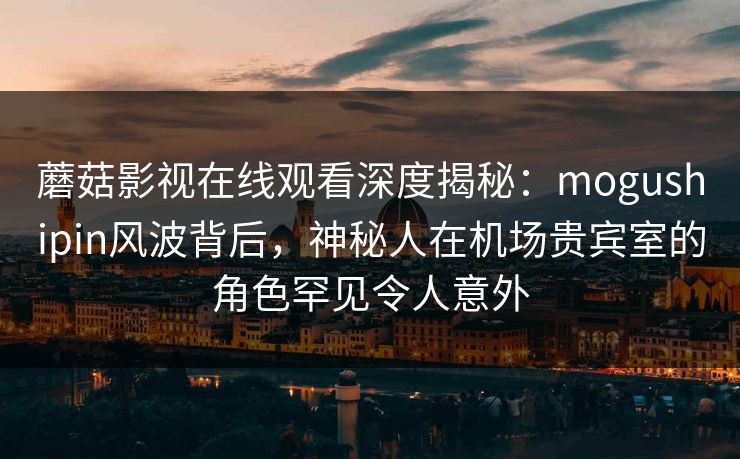 蘑菇影视在线观看深度揭秘：mogushipin风波背后，神秘人在机场贵宾室的角色罕见令人意外