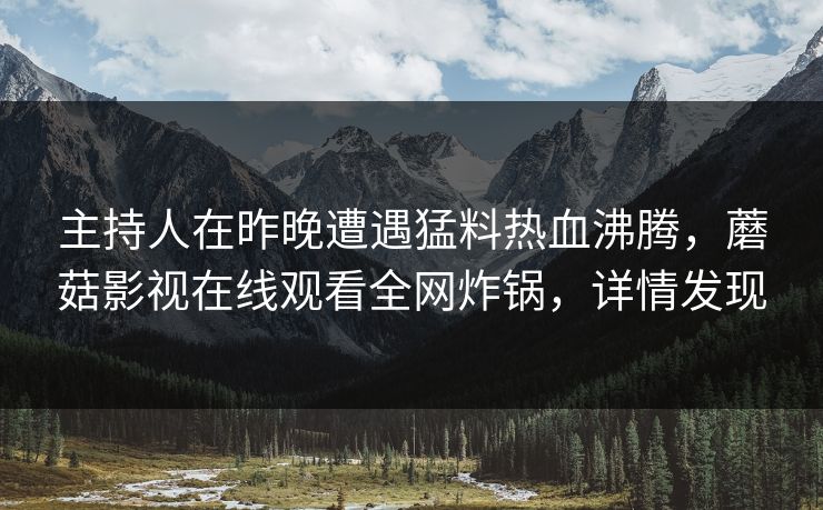主持人在昨晚遭遇猛料热血沸腾，蘑菇影视在线观看全网炸锅，详情发现
