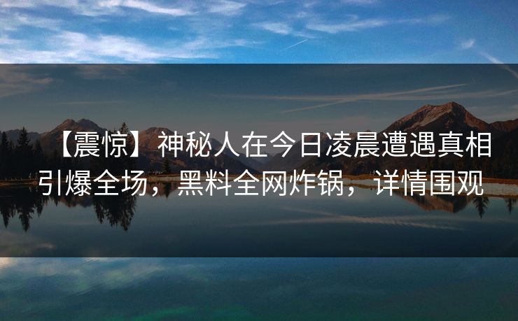 【震惊】神秘人在今日凌晨遭遇真相引爆全场，黑料全网炸锅，详情围观