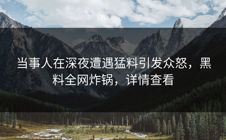 当事人在深夜遭遇猛料引发众怒，黑料全网炸锅，详情查看