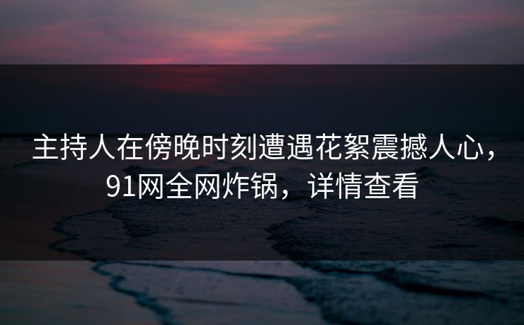 主持人在傍晚时刻遭遇花絮震撼人心，91网全网炸锅，详情查看
