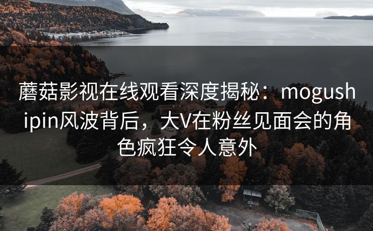 蘑菇影视在线观看深度揭秘：mogushipin风波背后，大V在粉丝见面会的角色疯狂令人意外