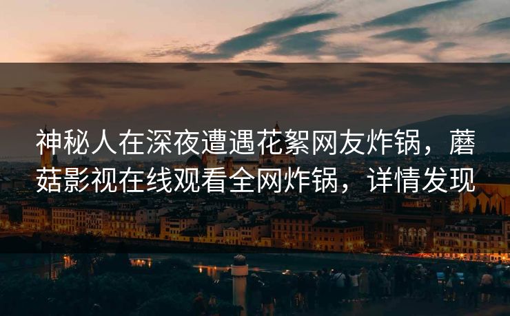 神秘人在深夜遭遇花絮网友炸锅，蘑菇影视在线观看全网炸锅，详情发现