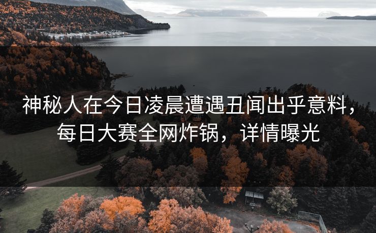 神秘人在今日凌晨遭遇丑闻出乎意料，每日大赛全网炸锅，详情曝光