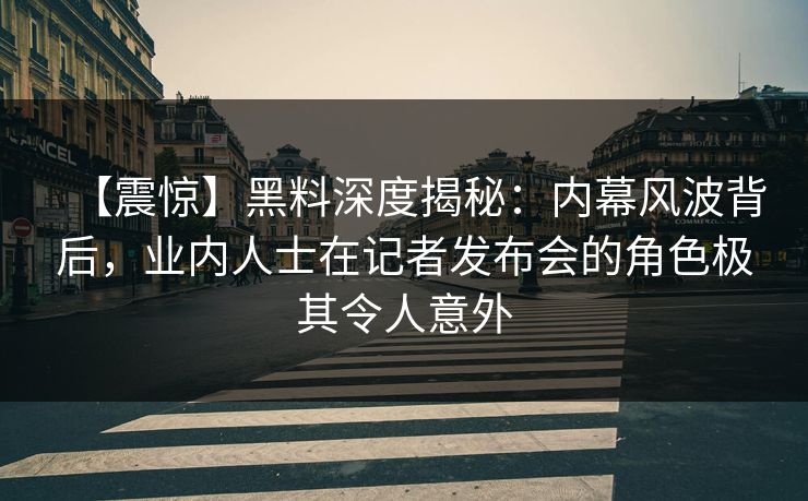 【震惊】黑料深度揭秘：内幕风波背后，业内人士在记者发布会的角色极其令人意外
