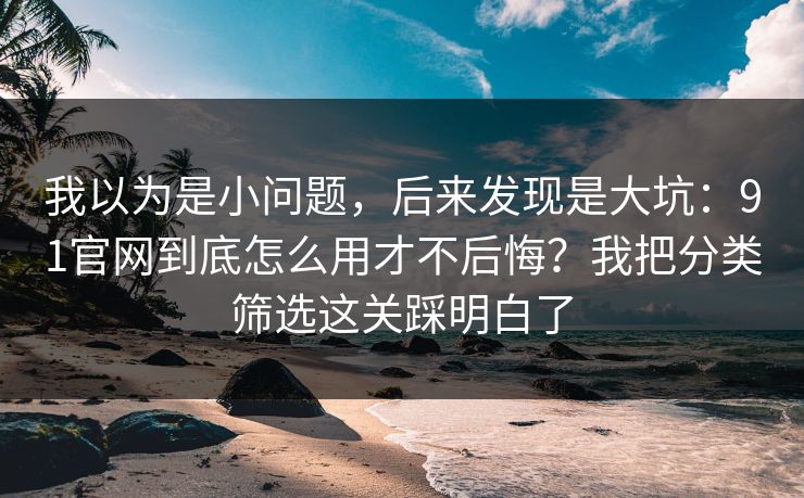 我以为是小问题，后来发现是大坑：91官网到底怎么用才不后悔？我把分类筛选这关踩明白了